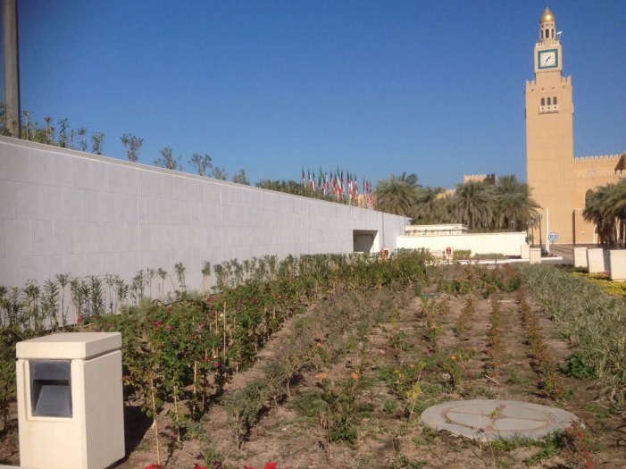 Aldiwan Alameeri
